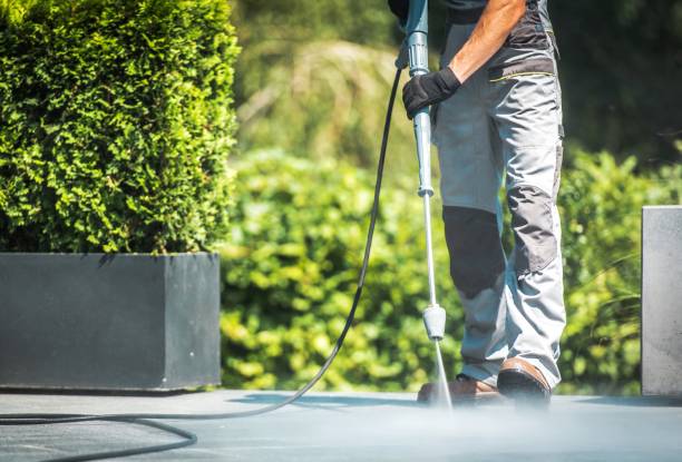 Best Gutter Cleaning  in Palmer Lake, CO